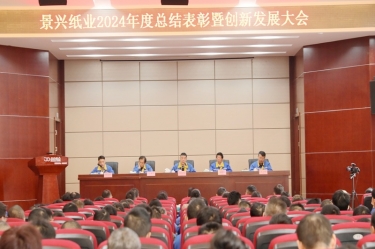 乘风破浪 逐梦前行 | Z6官网纸业2024年度总结赞美暨创新发展大会隆沉召开